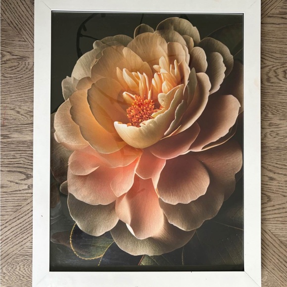 Floral Art Print in White Frame - Picture 1 of 9